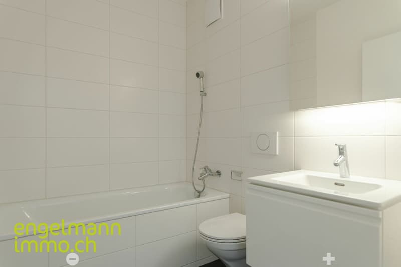 3.5 Zimmerwohnung/ Appartement de 3.5 pièces (6)