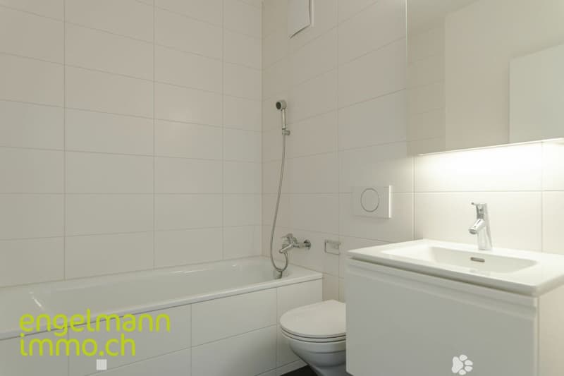 3.5 Zimmerwohnung/ Appartement de 3.5 pièces (6)