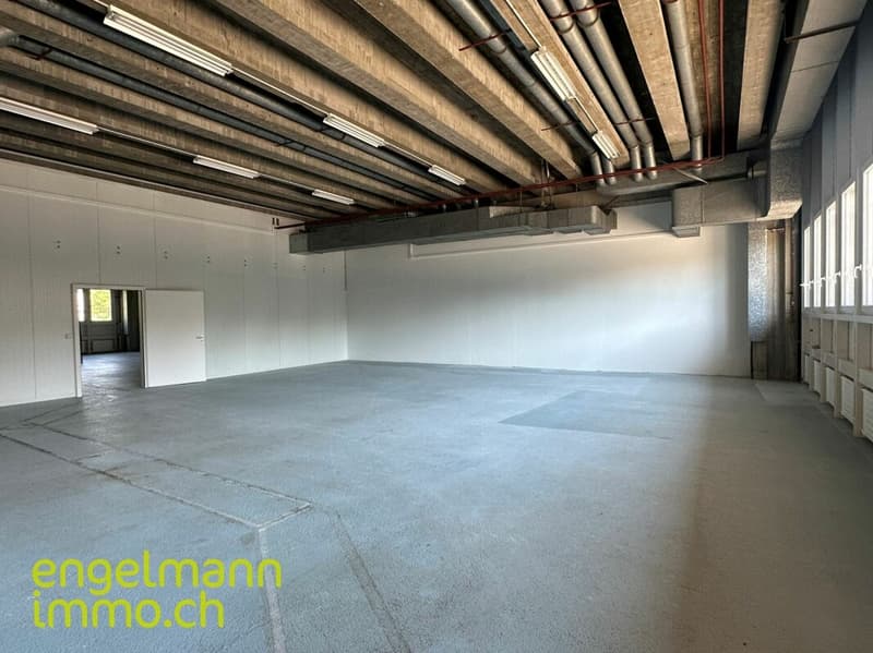 Gewerbefläche / Surface commerciale (6)