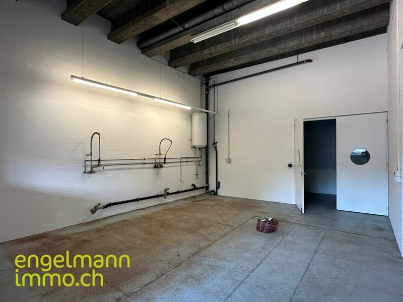 Gewerbefläche / Surface commerciale (13)