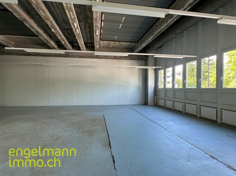 Gewerbefläche / Surface commerciale (11)