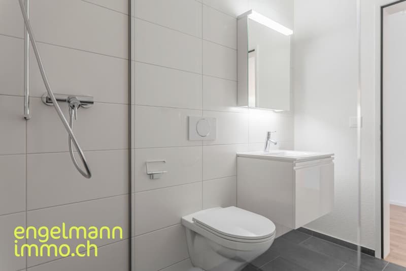 4.5 Zimmerwohnung / Appartement de 4.5 pièces (9)