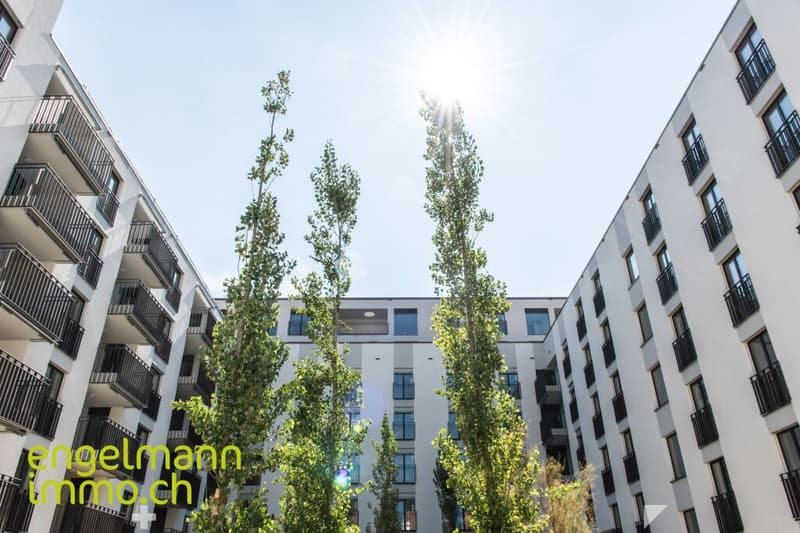 2.5 Zimmerwohnung / Appartement de 2.5 pièces (5)