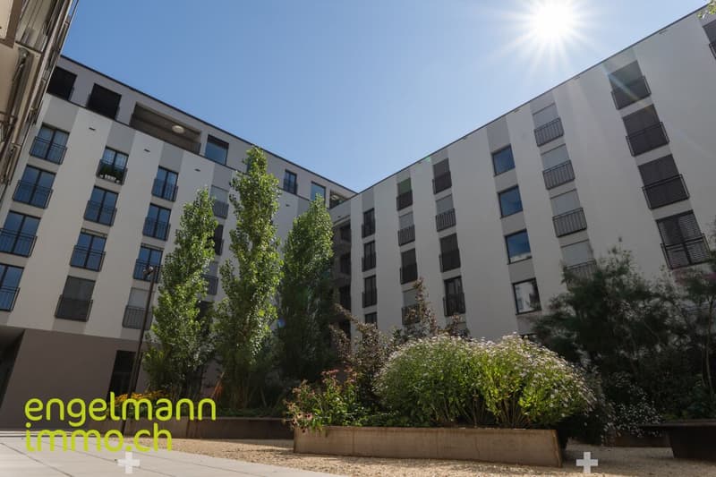 2.5 Zimmerwohnung / Appartement de 2.5 pièces (7)