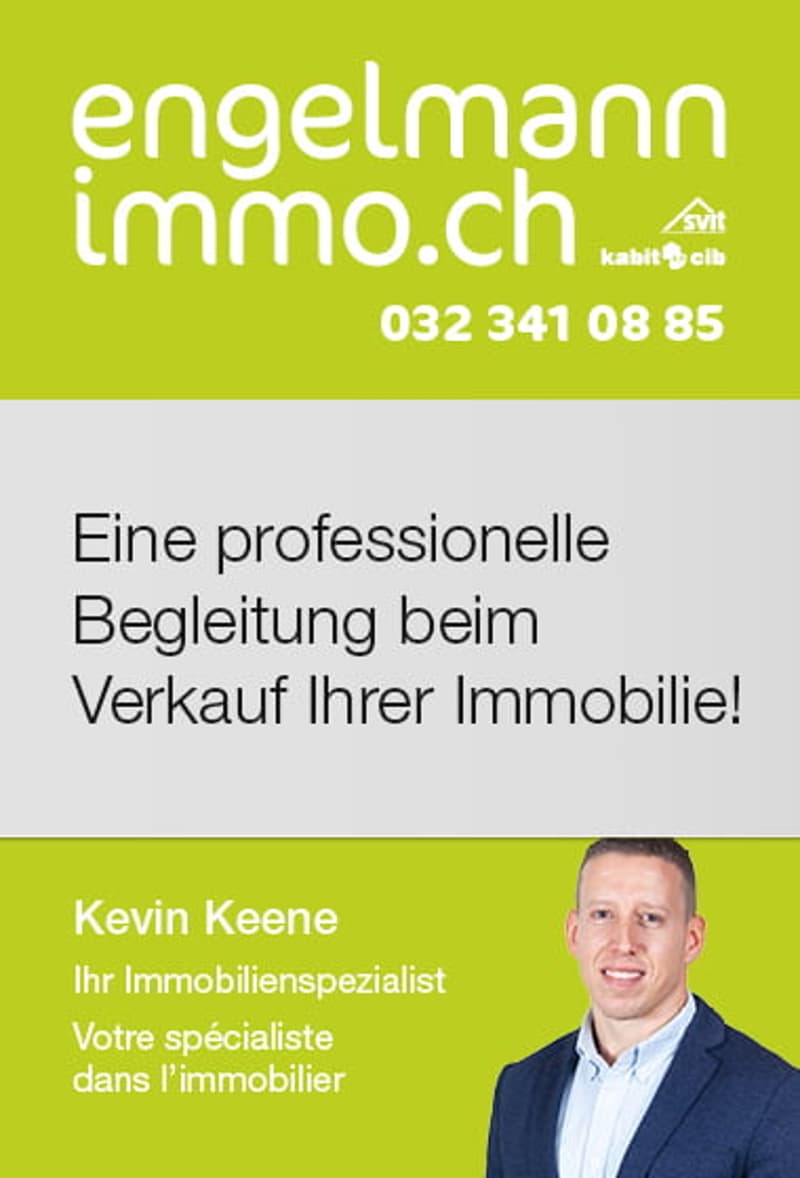 Dreifamilienhaus / Immeuble de 3 appartements (17)