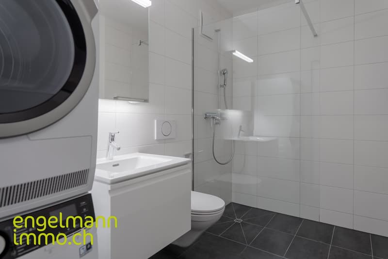3.5 Zimmerwohnung / Appartement de 3.5 pièces (8)