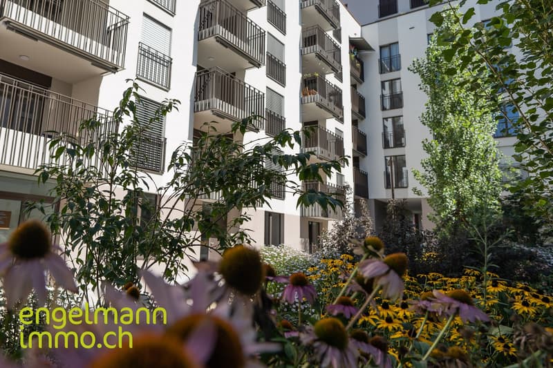 3.5 Zimmerwohnung / Appartement de 3.5 pièces (12)