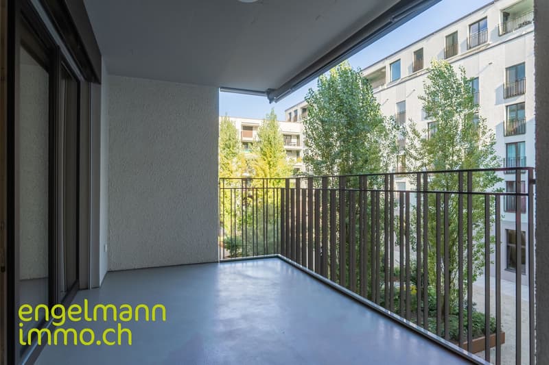 3.5 Zimmerwohnung / Appartement de 3.5 pièces (9)