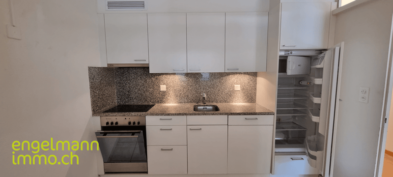 Appartement de 3.5 pièces / 3.5 Zimmerwohnung (9)