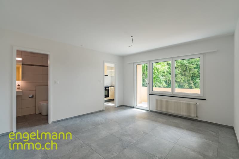 2 Zimmer-Wohnung / Appartement 2 pièces (4)