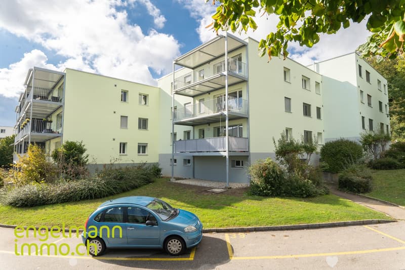 4 Zimmer-Wohnung / Appartement de 4 pièces (1)