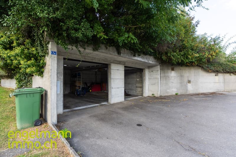 Grande Villa de Maître de 8.5 pièces avec grand jardin arborisé (14)