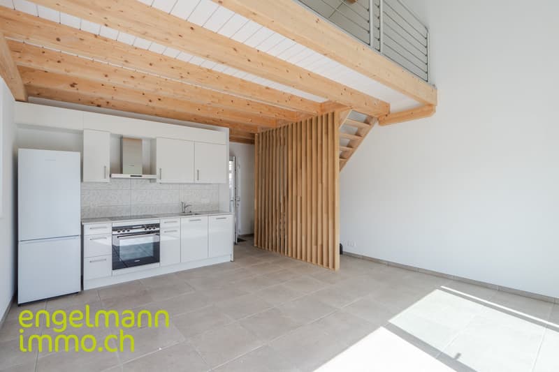 Propriété avec 3 maisons en rangée (10)