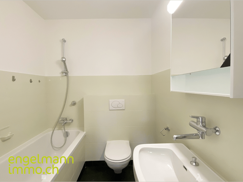 3-Zimmerwohnung / Appartement de 3 pièces (6)