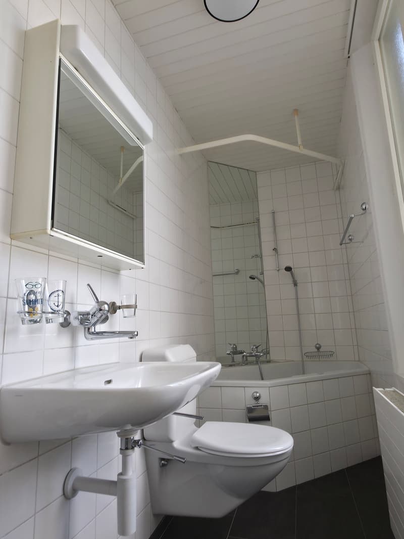 4.5-Zimmer-Wohnung / Appartement de 4.5 pièces (10)