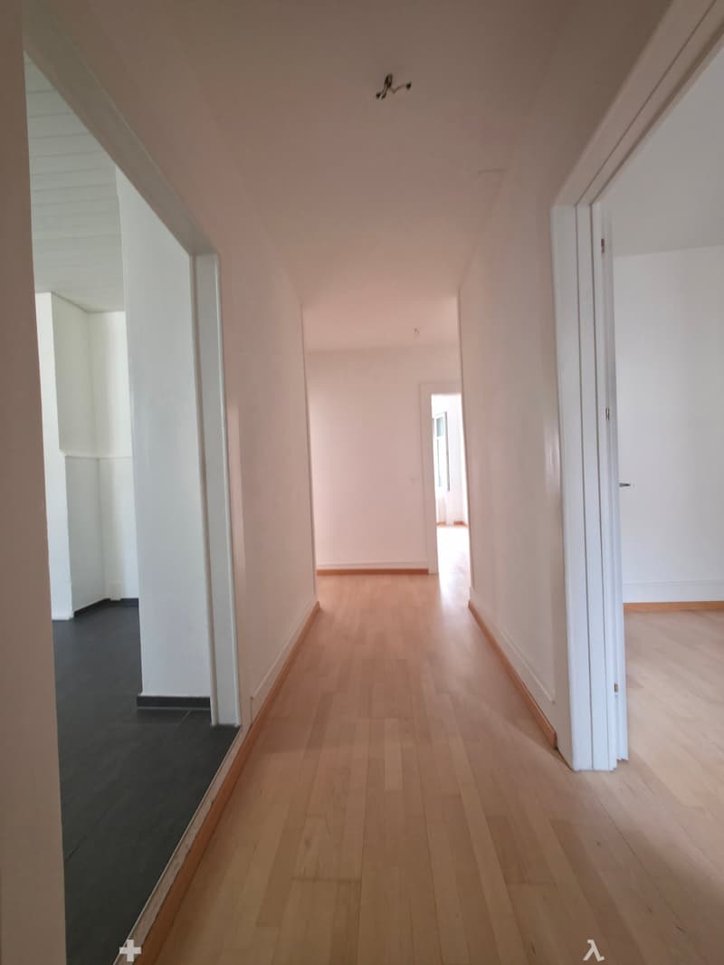4.5-Zimmer-Wohnung / Appartement de 4.5 pièces (5)