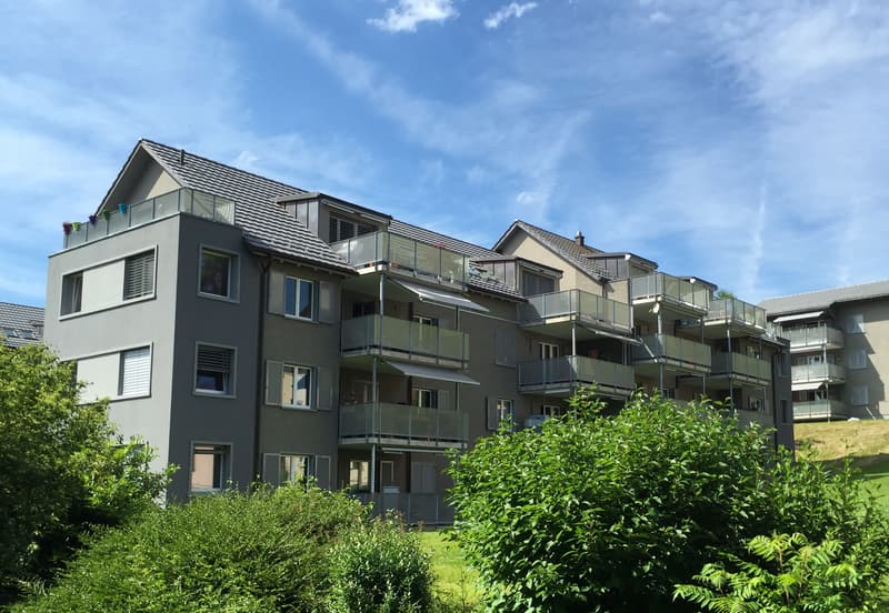 6.5-Zimmer-Dachwohnung am Stadtrand von Zürich (1)