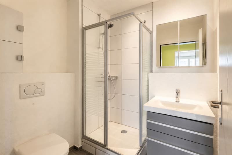 Top modern 4 ½ apartment in Zürich-Seebach (District 11) (10)