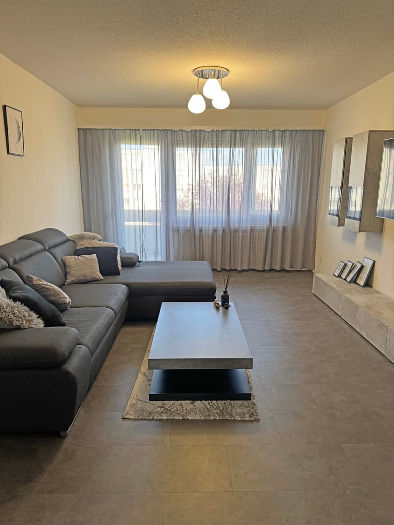Affordable 3 ½-room apartment in Watt (2)