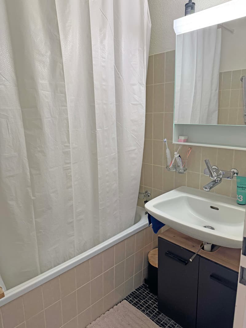 Affordable 3 ½-room apartment in Watt (8)