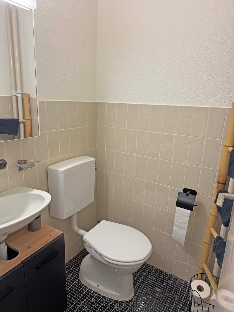 Affordable 3 ½-room apartment in Watt (9)