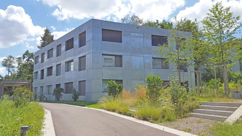 Vivere secondo lo standard Minergie - appartamento luminoso e moderno in un ambiente ben curato (1)