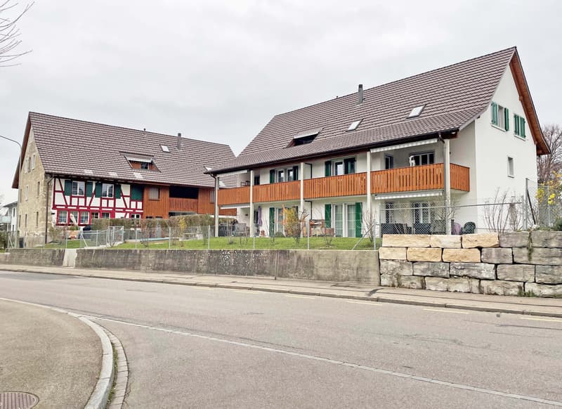Grosszügige 3 ½-Zimmerwohnung in Oberhasli mit Sitzplatz (1)