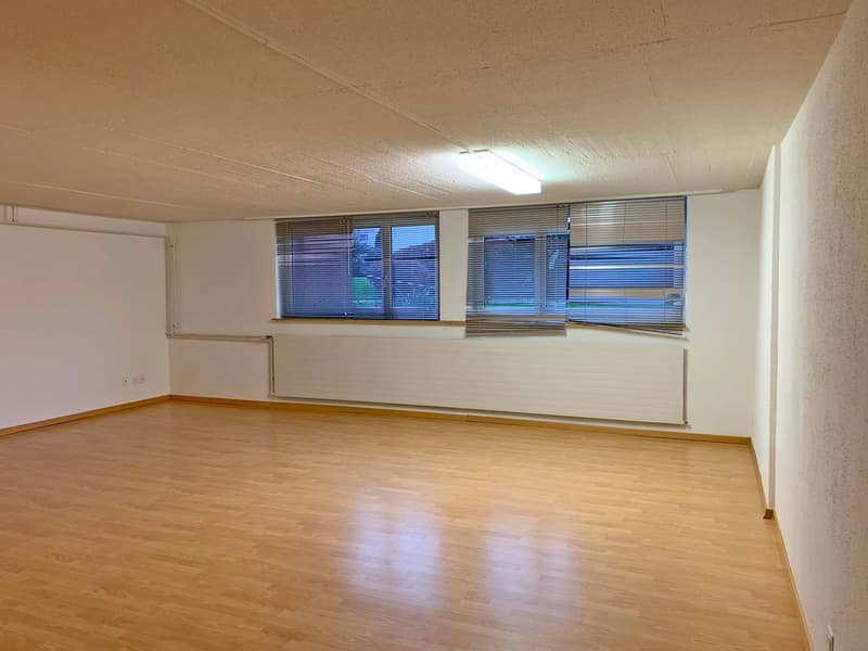 Spacious studio/office in Dietikon (2)