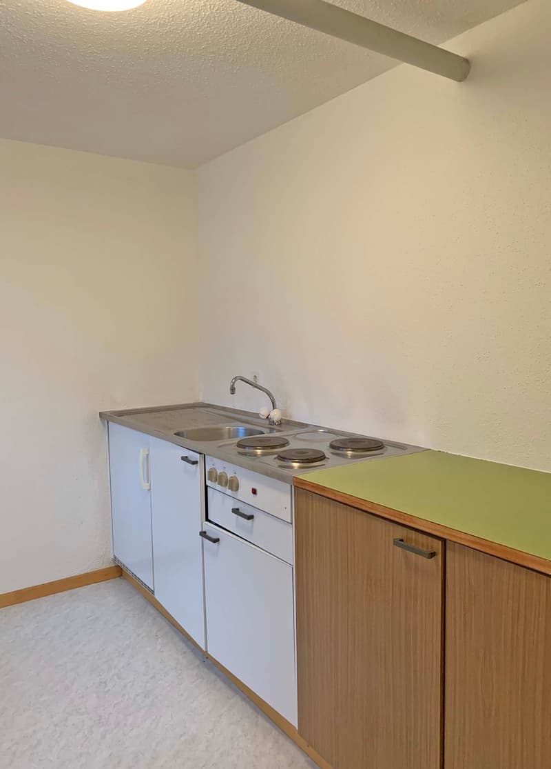 Spacious studio/office in Dietikon (5)