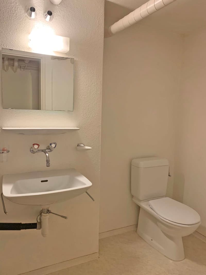 Spacious studio/office in Dietikon (6)