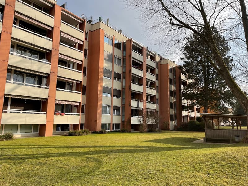 Spacious studio/office in Dietikon (1)
