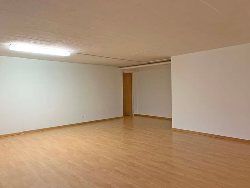 Spacious studio/office in Dietikon (3)