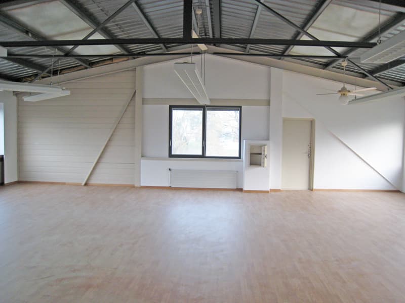Your new company location - 2 commercial halls for rent (6)