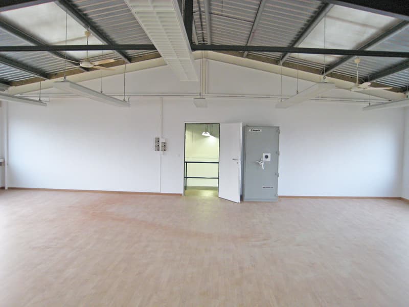 Your new company location - 2 commercial halls for rent (5)