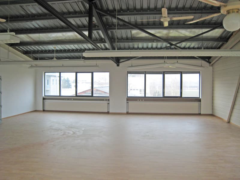Your new company location - 2 commercial halls for rent (7)