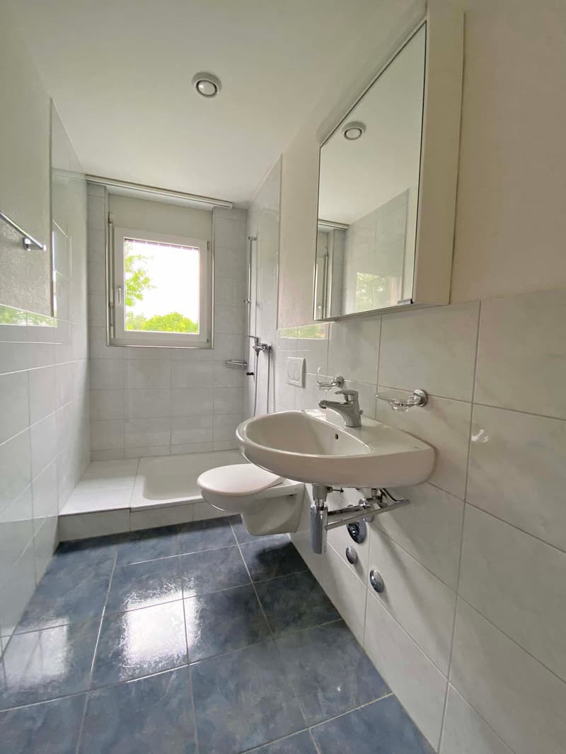 Einladende 4 ½-Zimmerwohnung in gepflegter Wohnsiedlung (9)