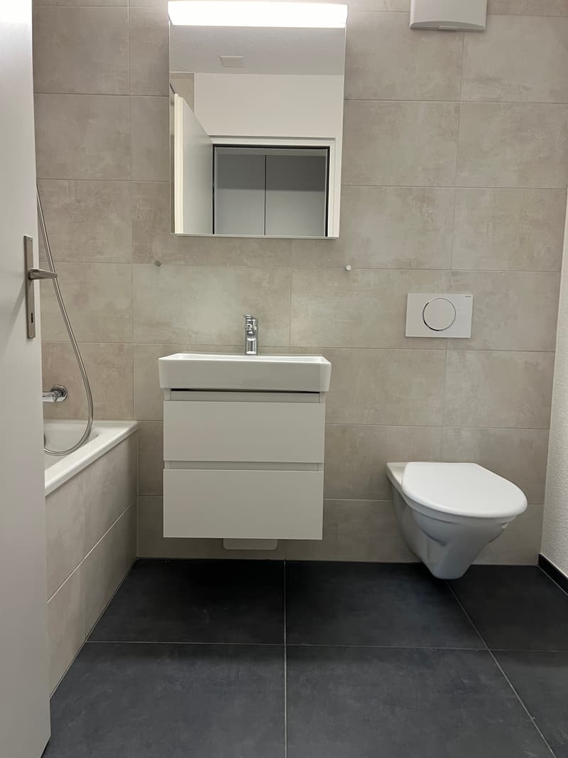 Appartement single charmant dans le quartier résidentiel verdoyant "Leebern" (2)