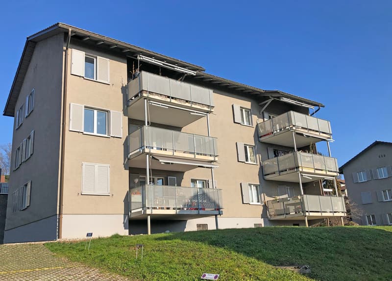 Appartement confortable directement sur la Limmat ! (1)