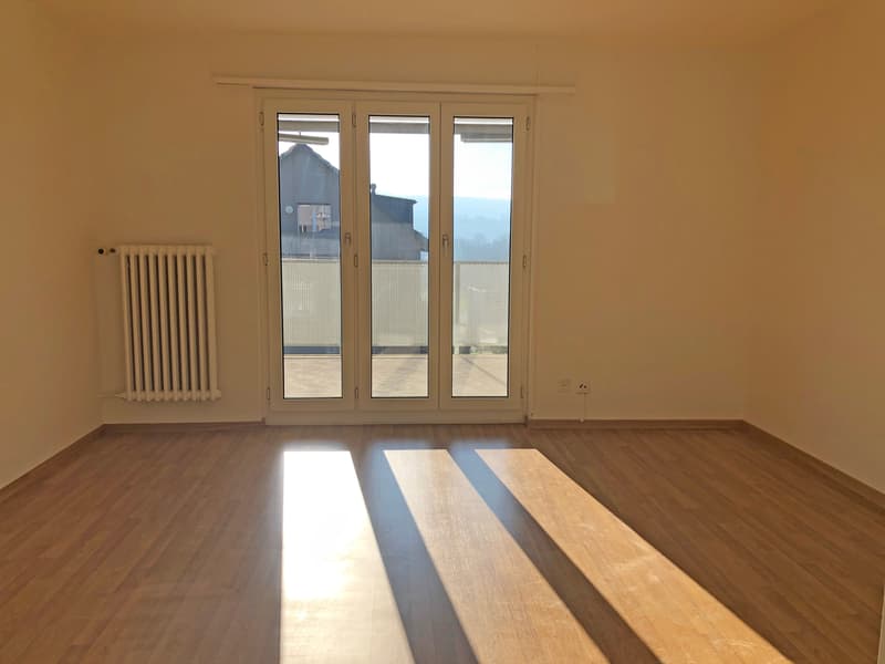 Appartement confortable directement sur la Limmat ! (4)