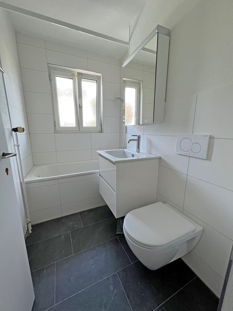 Appartement confortable directement sur la Limmat ! (3)