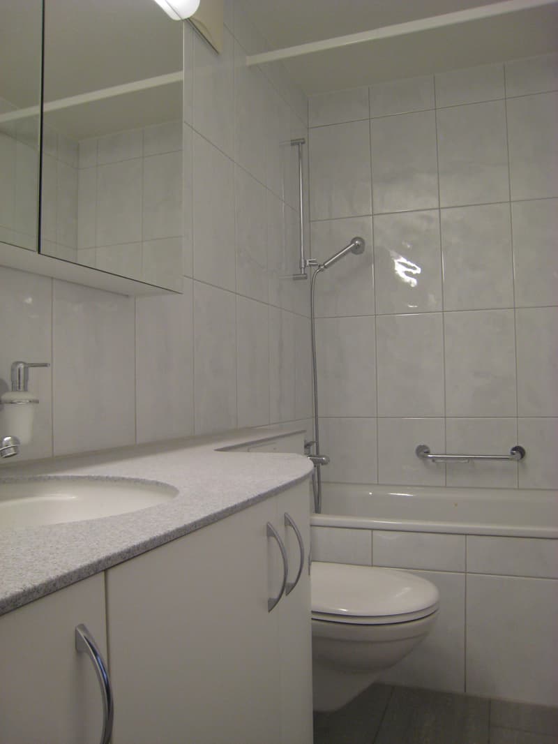 Fully serviced in the best location in ZH-Affoltern! (8)