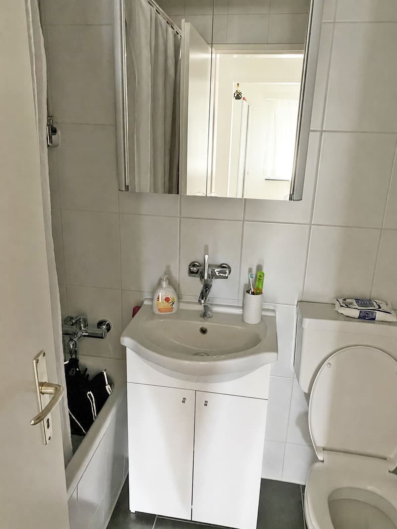 Moderne Singlewohnung am Fusse des Weiningerbergs (6)