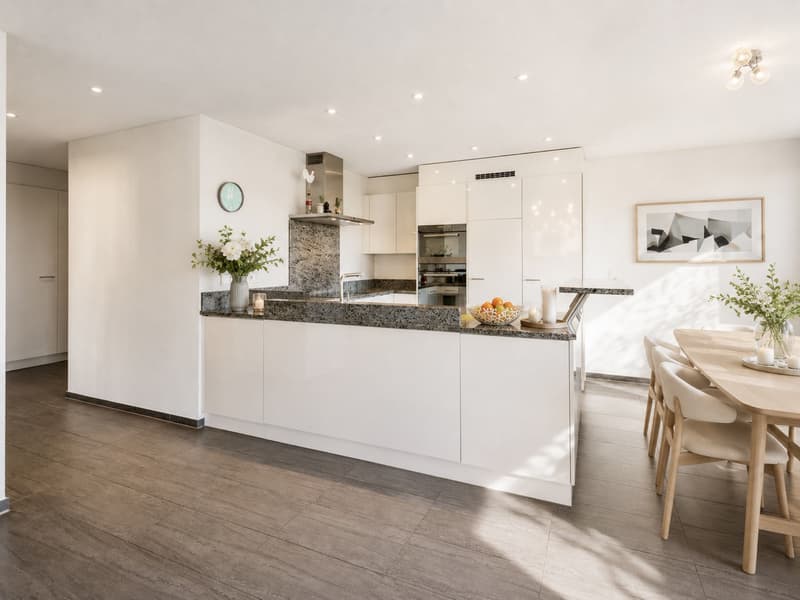 Top moderne 4 ½ Wohnung in Zürich-Seebach (Kreis 11) (5)