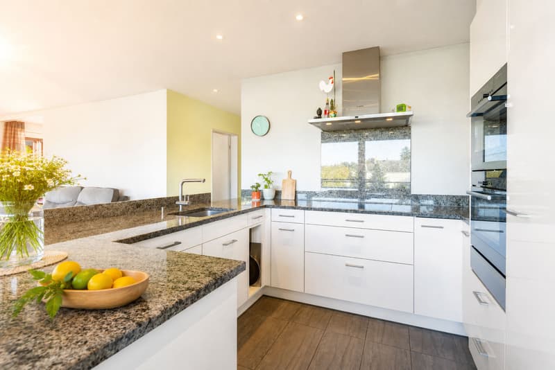 Top moderne 4 ½ Wohnung in Zürich-Seebach (Kreis 11) (4)