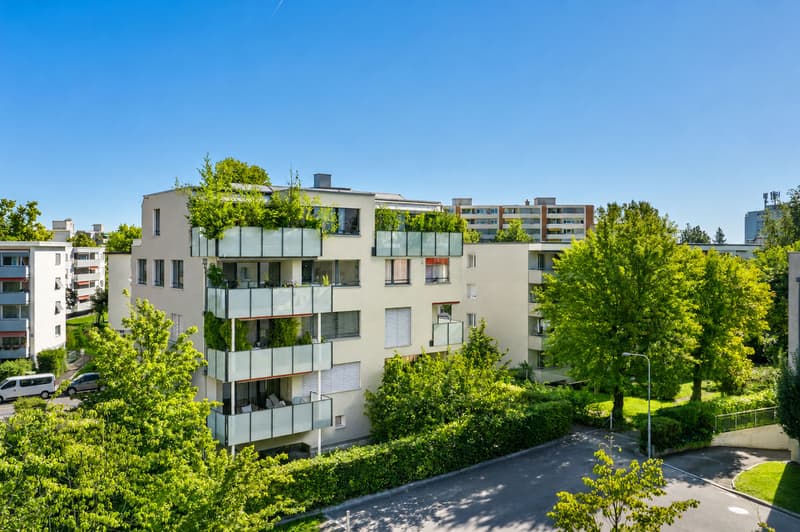Top moderne 4 ½ Wohnung in Zürich-Seebach (Kreis 11) (1)