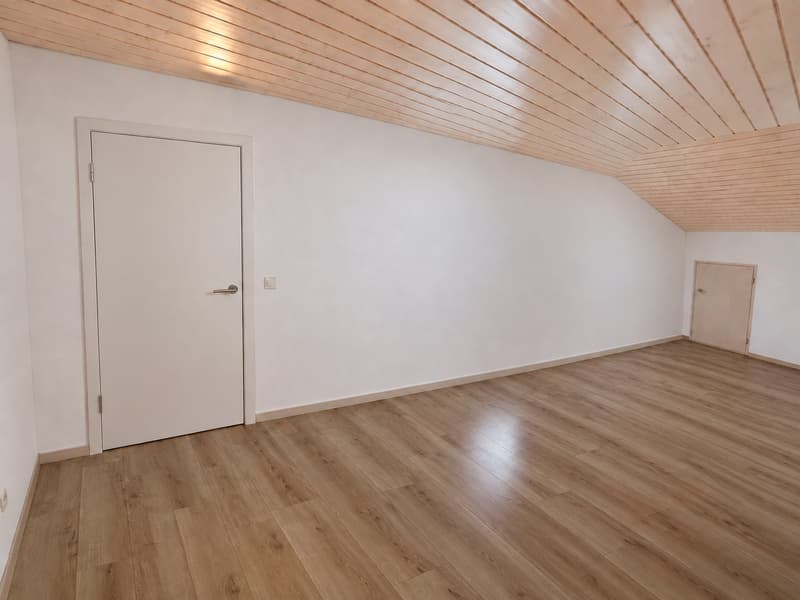 Renovierte 2 1/2-Zimmerwohnung mit Abendsonne und topmoderner Ausstattung (3)