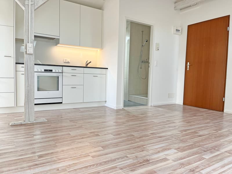 Ausgebaute Dachwohnung / Studio zu vermieten (4)