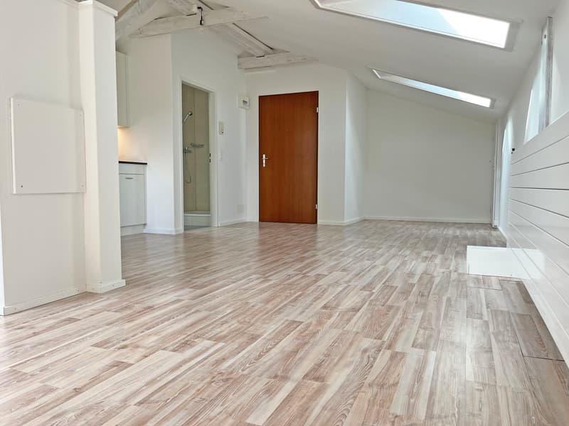 Ausgebaute Dachwohnung / Studio zu vermieten (3)