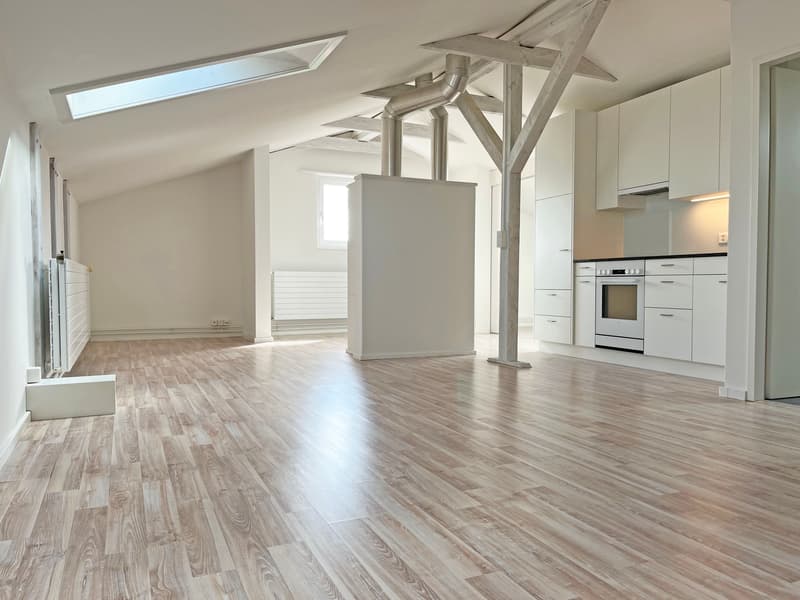 Ausgebaute Dachwohnung / Studio zu vermieten (2)