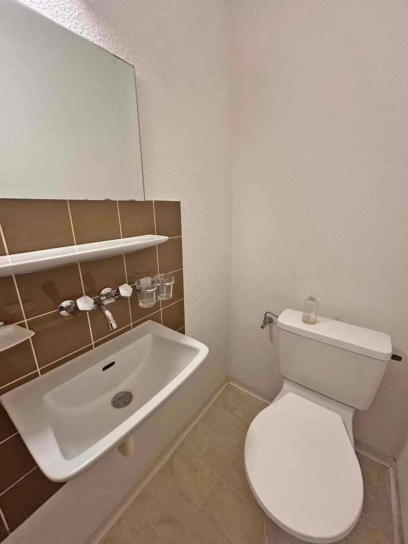 3 ½-Zimmerwohnung mit neuwertiger Küche (8)
